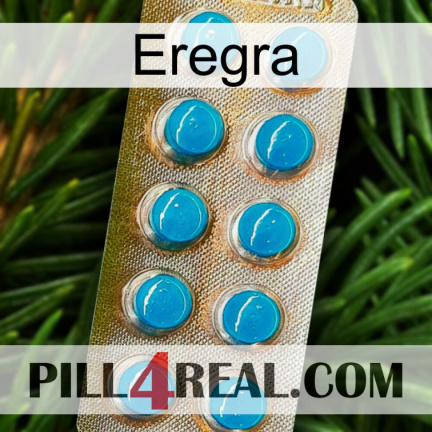 Eregra new09